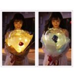 LED Luminous Balloon Rose Bouquet Transparent Bobo Ball Rose - Image 4
