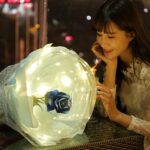 LED Luminous Balloon Rose Bouquet Transparent Bobo Ball Rose - Image 3