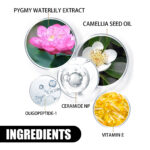 Nourishing Moisturizing Skin Rejuvenation Skin Cream Skin Brightening Whitening Hydrating Easy Absorption Cream - Image 9