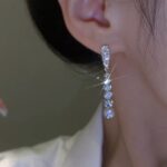Sterling Silver Needle High-grade Long Rhinestone Tassel Earrings - Image 4