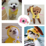 Cute Fruit Dog Clothes For Small Dogs Hoodies Winter Warm Fleece Pet Clothing Puppy Cat Costume Coat For French Chihuahua Outfit - Image 8