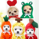 Cute Fruit Dog Clothes For Small Dogs Hoodies Winter Warm Fleece Pet Clothing Puppy Cat Costume Coat For French Chihuahua Outfit - Image 5