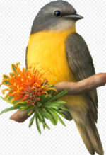 2026 Wooden Puzzles NEW DESIGNS - Image 7