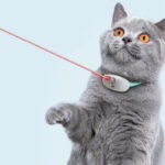 Automatic Cat Toy Smart Laser Teasing Cat Collar Electric USB Charging Kitten Amusing Toys Interactive Training Pet Items - Image 6