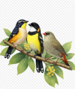 2026 Wooden Puzzles NEW DESIGNS - Image 6