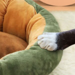 All Season Universal Cat And Dog House Villa Supplies - Image 5