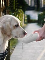 Outdoor Drinking And Feeding Cattle Dog Fountain Supplies - Image 4