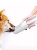 Outdoor Drinking And Feeding Cattle Dog Fountain Supplies - Image 3