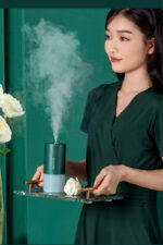 USB Charging Dmall Household Mute Desktop Humidifier - Image 6