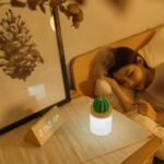 280ML Air Humidifier Soft LED Light Cactus Ultrasonic Aroma Essential Oil Diffuser For Home Car USB Mini Air Purifier - Image 7