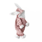 Plush Baby Baby Jumpsuit Long Sleeves Climbing Suit - Image 6