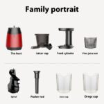 Low Speed Juicer Multifunctional Fruit And Vegetable Juicer - Image 2