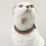 Retro Dog Rope Cat Collar Pet Supplies - Image 2