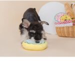 Pet Supplies Dog Plush Chew Interactive Toys - Image 4