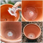 Hydroponic Test Tube Transparent Vase Creative Jardiniere Nordic Flower Vases Home Tabletop Large Simple Decoration - Image 9