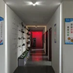 LED wall Lights AC85-220V modern home decorative aluminum window lamp corridor lamp stair corridor porch bar installed ray lamp - Image 2