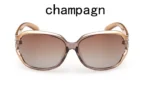 DANKEYISI Luxury Sunglasses Women Sunglasses Polarized Brand Designer Sunglasses Ladies Sunglasses Brand Sun Glasses Female - Image 7