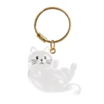 Cat Hair Storage Box Cat Accessories Cute Cat Supplies Clear Cat Fur Keychain Pet Gifts Cat Memorial Gifts Keychains - Image 9