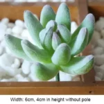 Creative Home Decoration Crafts Imitation Potted Plant Basket Nordic Furnishing Ornaments Art Livingroom Bedroom Hotel Decor - Image 12