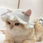 Cute Cat Hat Funny Pets Party Cosplay Headwear Delicate Hemming Pendant Decor Elasticity Knitted Hat Pet Accessories - Image 14
