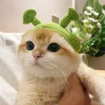 Cute Cat Hat Funny Pets Party Cosplay Headwear Delicate Hemming Pendant Decor Elasticity Knitted Hat Pet Accessories - Image 4