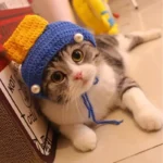 Cute Cat Hat Funny Pets Party Cosplay Headwear Delicate Hemming Pendant Decor Elasticity Knitted Hat Pet Accessories - Image 29
