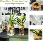 Separated Desktop Acrylic Flower Vases Plants Propagation Stations for Living Room, Bedroom Decoration,Home Decor - Image 5