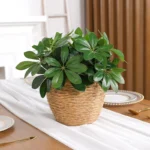 Artificial Plant | Fake Leaves with Stem, Ideal for Living Room, Hotel, Window, Office Decoration, Home and Room Decor - Image 2