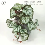 Artificial Terrarium Plants Vine Wall Hanging Flower Rattan Simulation Plastic Leaf Rattan Green Grass Home Balcony Garden Decor - Image 12