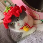 Cute Cat Hat Funny Pets Party Cosplay Headwear Delicate Hemming Pendant Decor Elasticity Knitted Hat Pet Accessories - Image 18