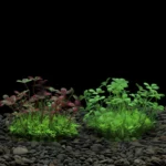 Artificial Underwater Plastic Plants Aquarium Fish Tank Aquatic Fake Shrub Green Weeds Water Grass Viewing Simulation Decoration - Image 19