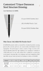 XINZUO 1-8pcs Kitchen Knife Set 73 Layers Custom Damascus Steel 15°±1 Per Side Steel Blade with Olive Wood Handle - Image 21