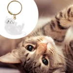 Cat Hair Storage Box Cat Accessories Cute Cat Supplies Clear Cat Fur Keychain Pet Gifts Cat Memorial Gifts Keychains - Image 13