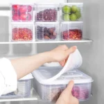 Food Storage Container 6 Grids Vegetable Fruit Fresh-keeping Box with Lid for Refrigerator Kitchen Spice Seasoning Storage Jar - Image 6