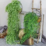 Artificial Plants Vines  Flower Wall Hanging Faux Rattan  Indoor Outdoor Green Plant  Plant Flower Wall Decoration Home Decor