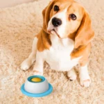 Pet Feeding Accessories Dog Treat Toy Puzzle Toys For Bored Puppy Slow Feeder Puppy Supplies For Healthy Eating Food Crate - Image 5