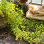 Artificial Plants Vines  Flower Wall Hanging Faux Rattan  Indoor Outdoor Green Plant  Plant Flower Wall Decoration Home Decor - Image 5