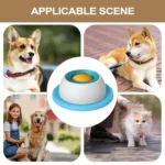 New Dog supplies Anti-overturning Pet toys anti-greedy bite-resistant anti-boring artifact kittens cats dog licking supplies - Image 14