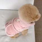 Dog Supplies Accessories Pets Acessorios Chihuahua Apparel Clothes Dogs Pet Sweatshirt Dresses Small For Animal Products - Image 5