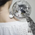 Cat head protection ball, pet grooming accessories, breathable mask, swimming helmet, cat supplies - Image 7