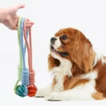 Dog Toy Ball with Rope for Feeding, Self-Entertainment, Boredom Relief, Durable Chew Toy, Pet Supplies