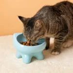 Cat Supplies Bow-Tie High-Leg Cat Bowls Large-Diameter Anti-Slip Dog Feeder Dish Cute Neck Protection Pet Food Bowls Home - Image 13