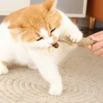 Cat Toys，Natural Matatabi，Pet Cat Snacks Sticks，Cleaning Tooth Catnip，Bite-resistant，Teeth Grinding Stick，Pet Supplies - Image 3