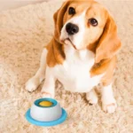 New Dog supplies Anti-overturning Pet toys anti-greedy bite-resistant anti-boring artifact kittens cats dog licking supplies - Image 3