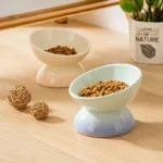 Cat Ceramic Bowl Gradient Pet Food Water Feeders Small Dogs Drinking Eating Supplies Raised Tilted Cats Puppy Feeding Supplies - Image 3