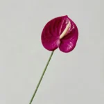 Artificial Flower For Decoration Fake Plants Ornament Decorative Leaf Room Decor Room Accessories Wedding Party Accessories Gift - Image 16