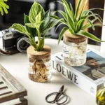 Separated Desktop Acrylic Flower Vases Plants Propagation Stations for Living Room, Bedroom Decoration,Home Decor - Image 2