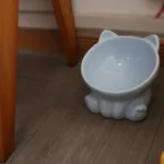 Supplies Drinking Eating Puppy Kitten Protection Cervical Pet Supplies Water Feeder Container Pet Feeding Bowl Cat Food Bowl - Image 16