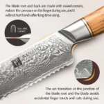 XINZUO 1-8pcs Kitchen Knife Set 73 Layers Custom Damascus Steel 15°±1 Per Side Steel Blade with Olive Wood Handle - Image 3