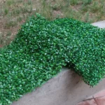 Artificial Plant 40x60cm Walls Foliage Hedge Grass Mat Greenery Panels Fence Home Oenament Fake Plants - Image 6